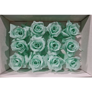 Ro Pres.. Green Mint (4cm)