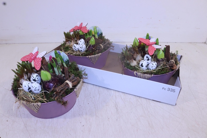 <h4>ARR BOL KNOLGEWAS</h4>