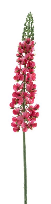 <h4>Lupinus spray fuchsia 107cm</h4>