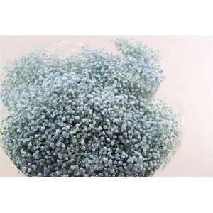 Gyps Grof Baby Blue (dip)