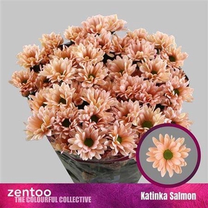 Chr T Katinka Salmon