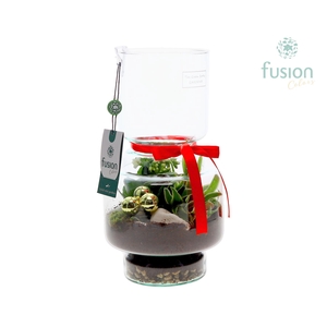 Green Bottle Lotte Medium met Kerst arrangement