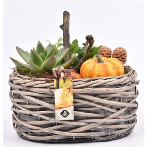 Arrangementen Sierfruit