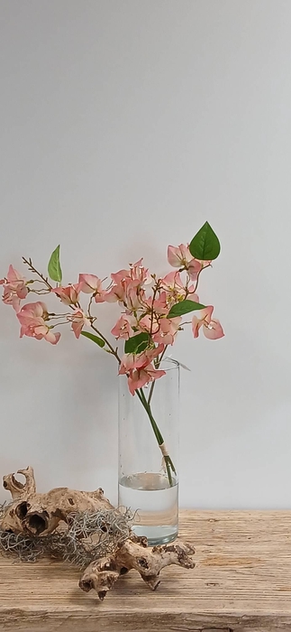 <h4>BOUGAINVILLEA BUNDLE PINK BK770001P L40</h4>
