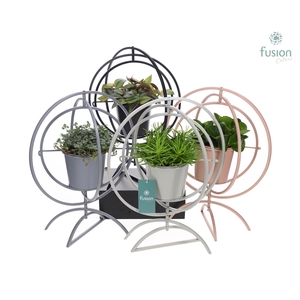 Globe metaal 4 kleuren Large met groene planten