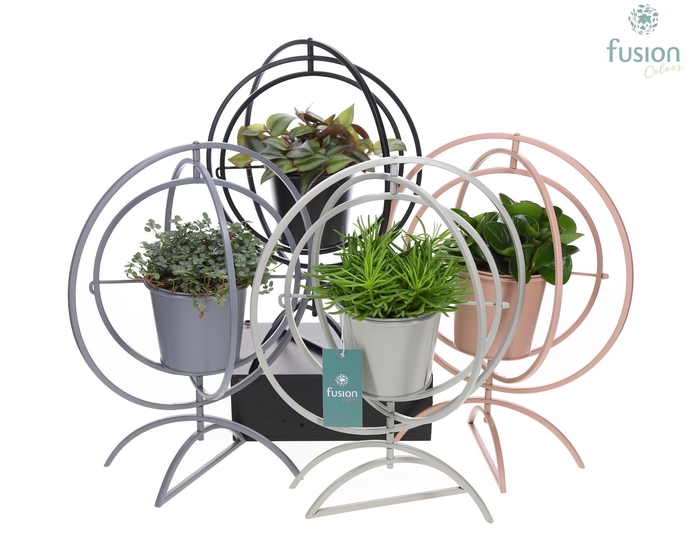 <h4>Globe metaal 4 kleuren Large met groene planten</h4>