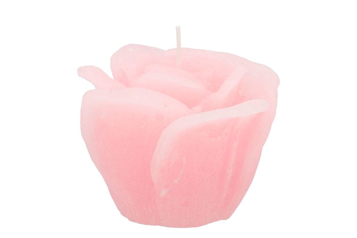 <h4>Candle Roos White Pink 11x9cm</h4>