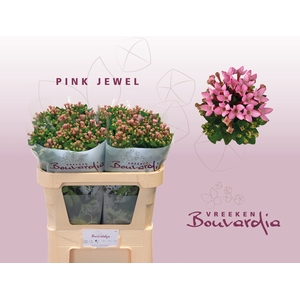 BOU EN PINK JEWEL