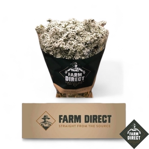 GYPS PA COSMIC 30GR BOX