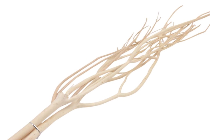 Bundle Mitsumata 3 Pcs L115