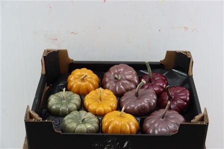 <h4>HALLOWEEN TOEVOEG H%</h4>