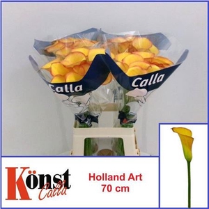 Zant Holland Art