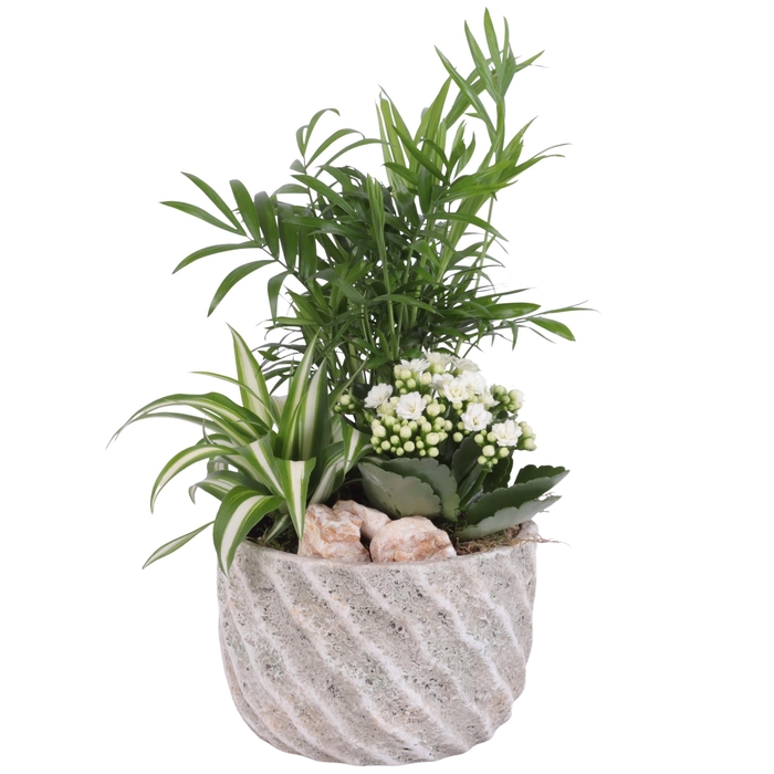 <h4>Yearround Arr. Indoor Ceramic Natural Touch NT668 Ø17cm 3PP</h4>