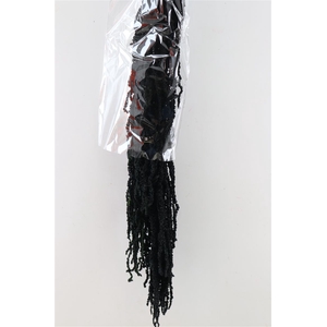 Pres Amaranthus Caud Black Bunch