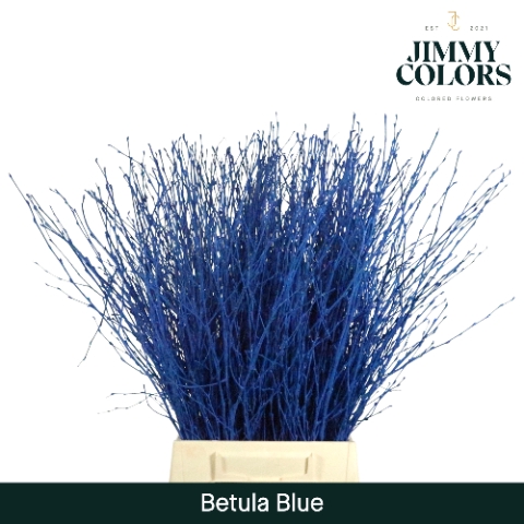 <h4>Betula L60 Mtlc. Blue</h4>