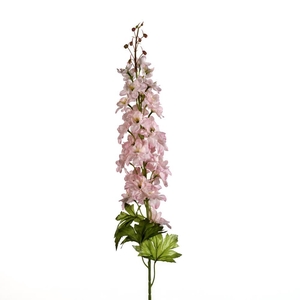 AF Delphinium L98cm L.pink