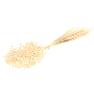 Hill Flower 100gr Bleached White