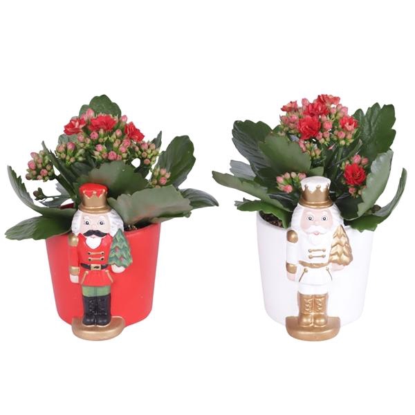 <h4>Christmas Arr. Indoor Ceramic Pot Standing Nutcracker Ø09cm 1PP</h4>