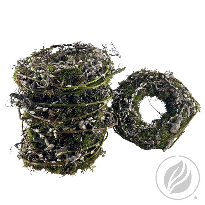 <h4>Krans Mos Bonsai Catkin 30cm</h4>