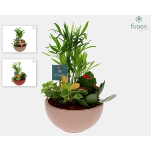 Schaal keramiek Moon Small met arrangement