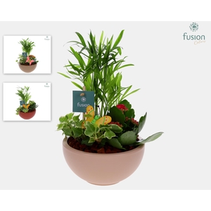 Schaal keramiek Moon Small met arrangement