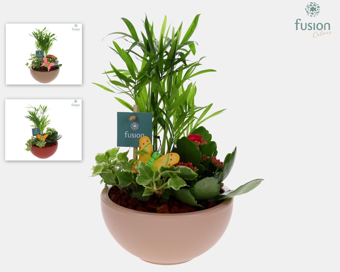 <h4>Schaal keramiek Moon Small met arrangement</h4>