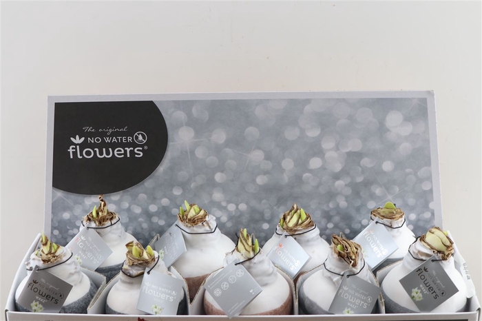 <h4>Wax Hipp Dipz Mix</h4>