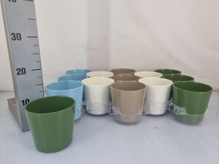 <h4>HUIS EN TUINDECO H%</h4>