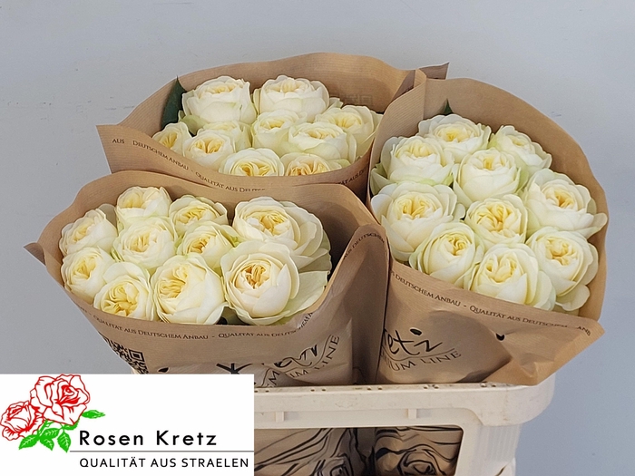 <h4>R GR WEDDING CHAPEL!</h4>