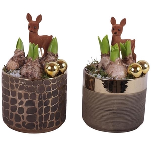 Christmas Arr. Hyacint Ceramic Pure Luxury N568 Ø13cm 1PP