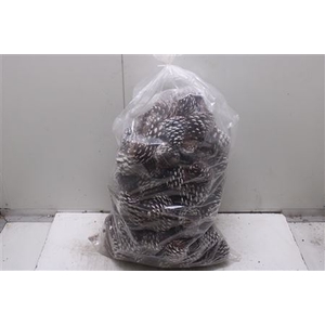 Maritima Tipped