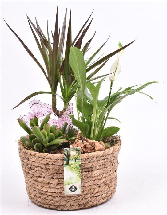 <h4>Touwmand laag 19,5cm</h4>