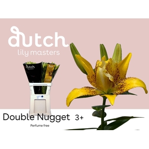 LI LA DOUBLE NUGGET 3+