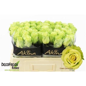 R Gr Green Generatio