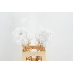 Stick Ball Fluffy Ø6 White