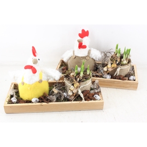 arr4 Narcis MB - Tray met kip 285/3