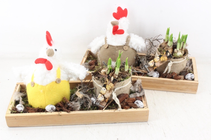 <h4>arr4 Narcis MB - Tray met kip 285/3</h4>