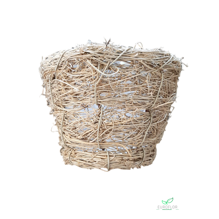 <h4>MANDJE MUEHLENBECCIA D12 H10</h4>