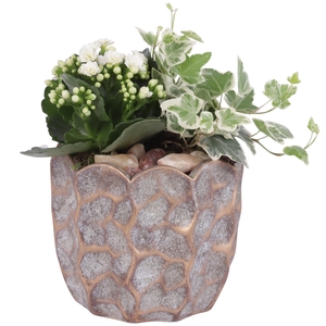 Yearround Arr. Indoor Ceramic Pure Luxury PL670 Ø15cm 2PP