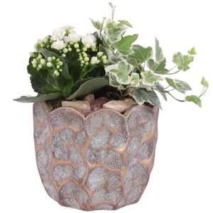 Yearround Arr. Indoor Ceramic Pure Luxury PL670 Ø15cm 2PP