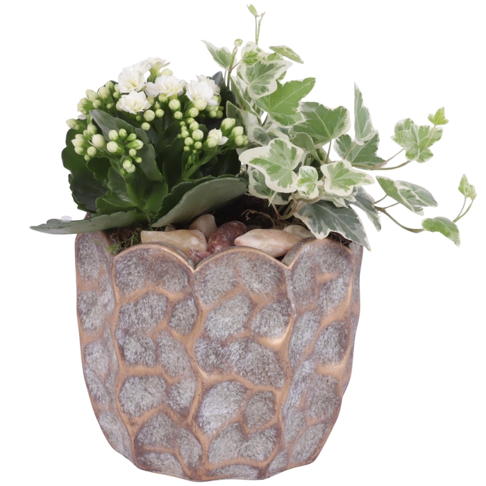 <h4>Yearround Arr. Indoor Ceramic Pure Luxury PL670 Ø15cm 2PP</h4>