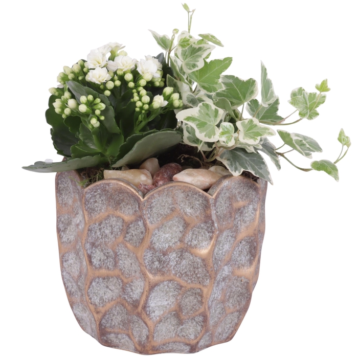 <h4>Yearround Arr. Indoor Ceramic Pure Luxury PL670 Ø15cm 2PP</h4>
