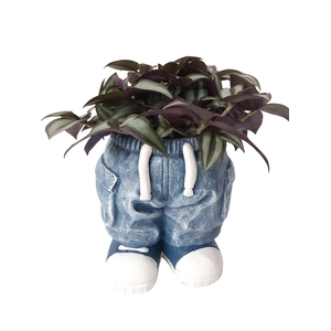 Arr.   Kamerplant Groen L%