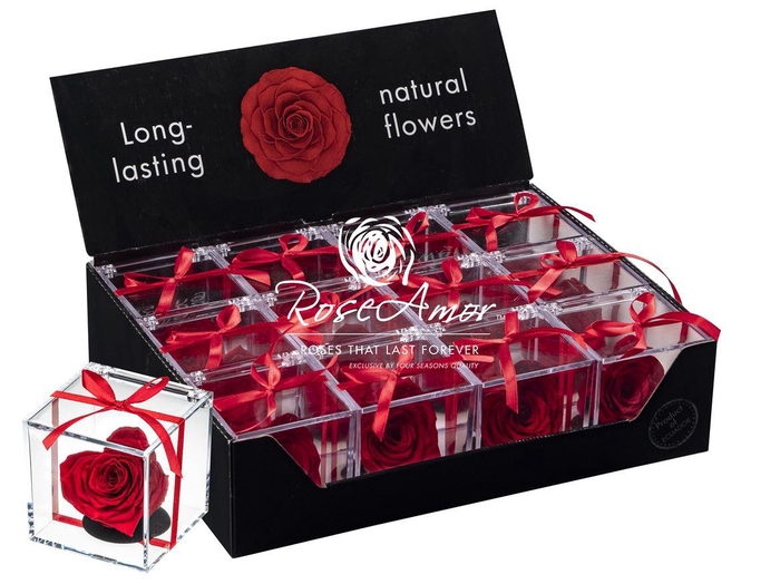 <h4>Display Gb14 Corazon Red02</h4>