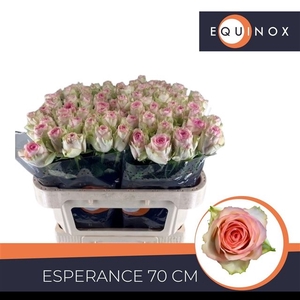 R GR ESPERANCE