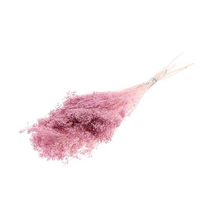 Bunch Broom Slv 100g L45