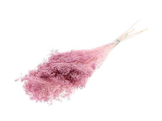 Bunch Broom Slv 100g L45