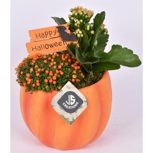 Halloween pompoen 15 cm