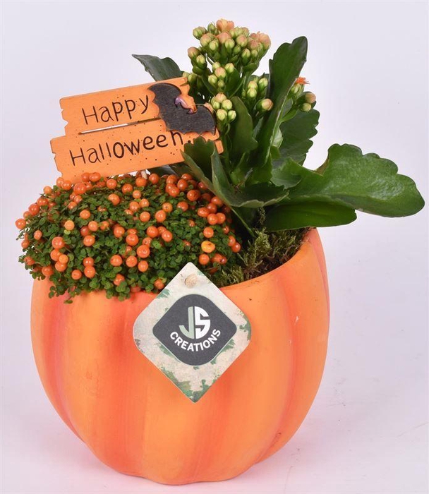 <h4>Halloween pompoen 15 cm</h4>