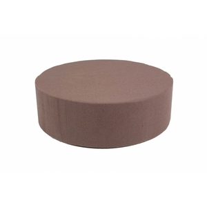 OASIS BIO CAKE 22CM 2PCS -BIO-